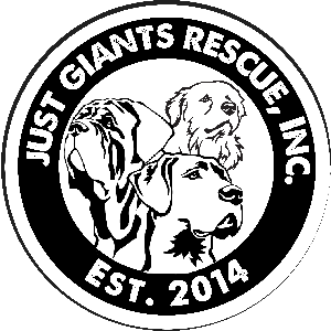 Just Giants Rescue, Inc. Logo