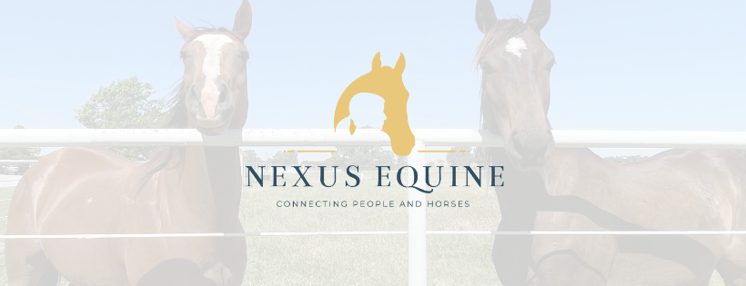 Nexus Equine