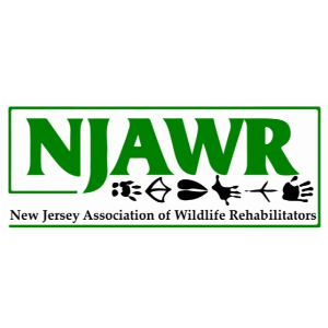 New Jersey Association Of Wildlife Rehabilitators - N.J.A.W.R.