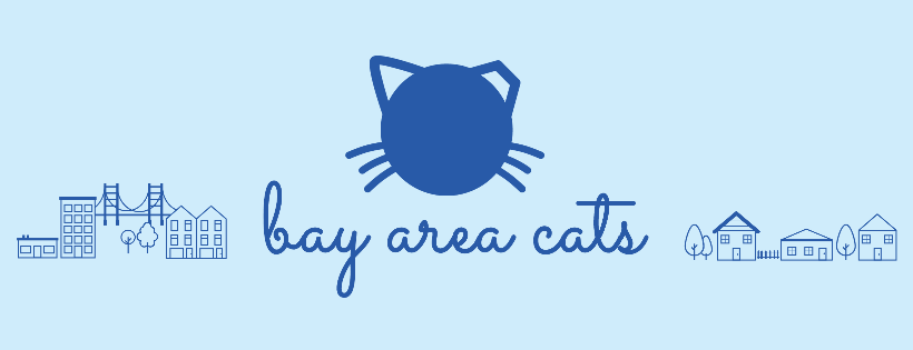 Bay Area Cats