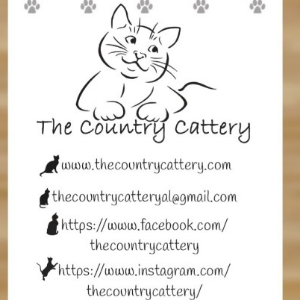 The Country Cattery Logo