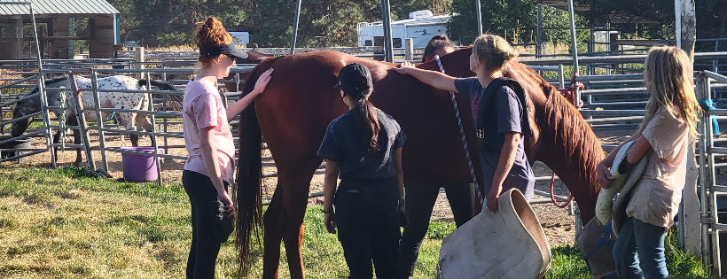 Full Circle Equine Rehabilitation Center