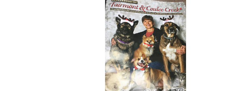 Lethbridge Humane society