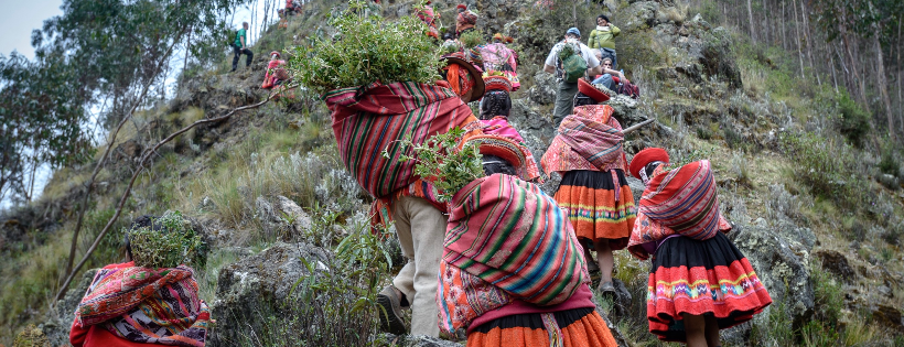 Global Forest Generation