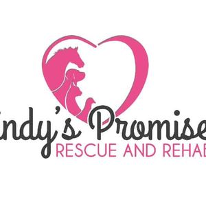 Cindys Promise - rescue & rehab inc.