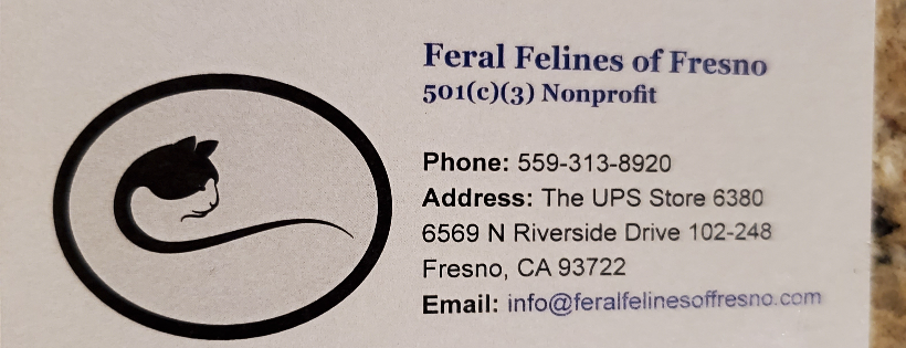 Feral Felines of Fresno