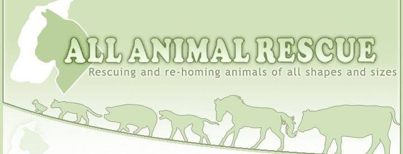 All Animal Rescue U.K