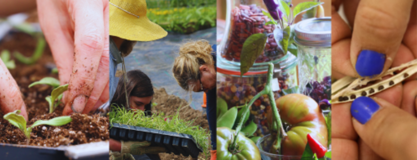 Seed Savers Exchange