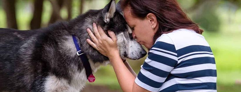 SIBERIAN HUSKY AND ALASKAN MALAMUTE RESCUE OF QUEENSLAND INC