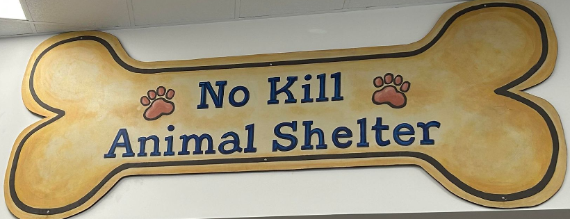 Winnipeg Pet Rescue Shelter