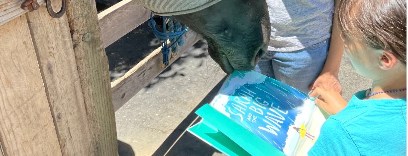 Horse Sense Education and Advocacy Nonprofit