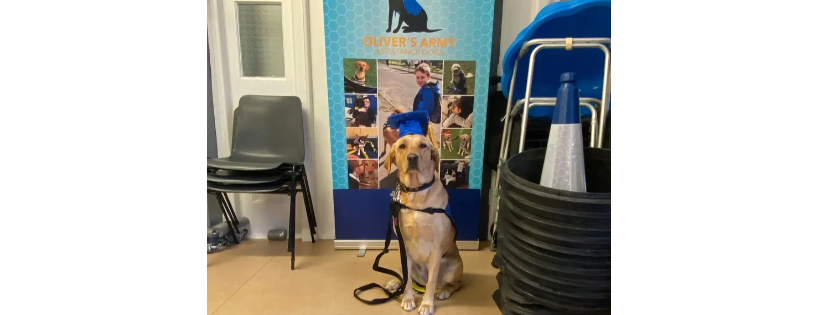 Oliver’s Army Assistance and Therapy Dogs