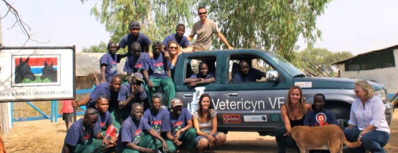 Gambia Horse and Donkey Trust
