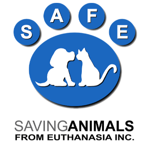 SAFE Newman Logo