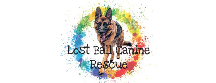 Lost Ball Canine Rescue, Inc.
