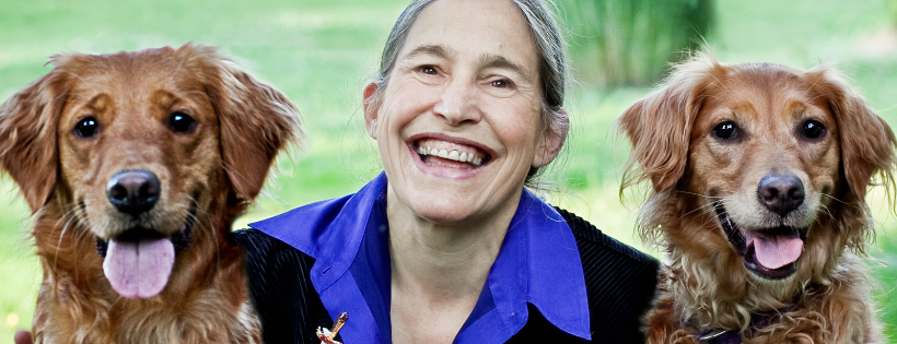 Executive Director of Healing Companions, Inc. www.healing-companions.org