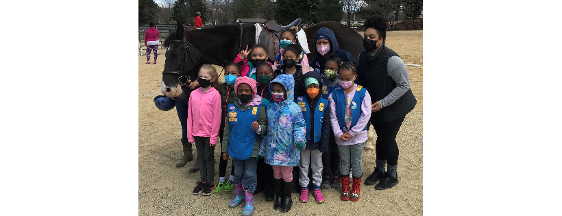 Freedom Hill Horse Rescue
