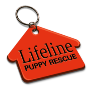 Lifeline Puppy Rescue