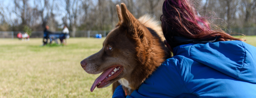 Louisiana Husky Rescue