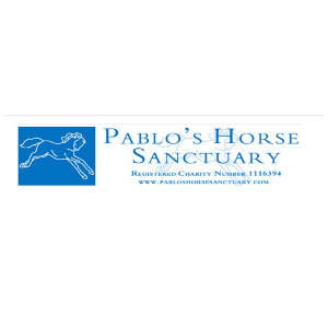 Pablo's Horse Sanctuary