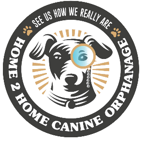 Home 2 Home Canine Orphanage Logo