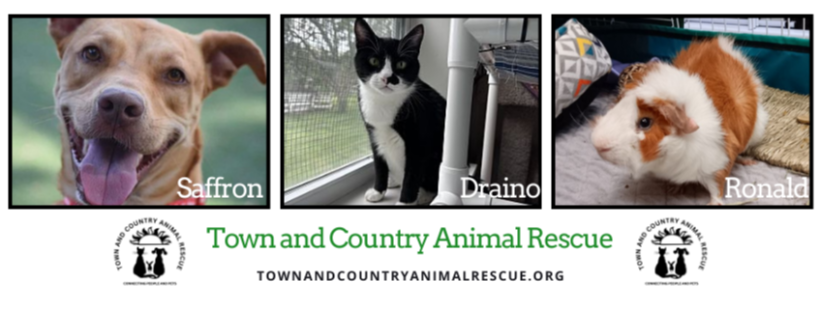 Town and Country Animal Rescue