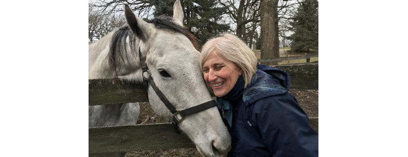 Heart & Soul Equine Foundation