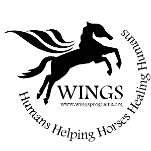Wings Programs Inc Logo