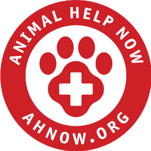 Animal Help Now Logo