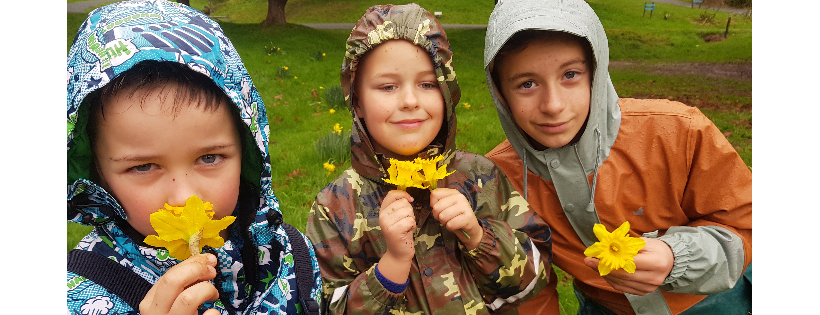 Nature School NZ Trust