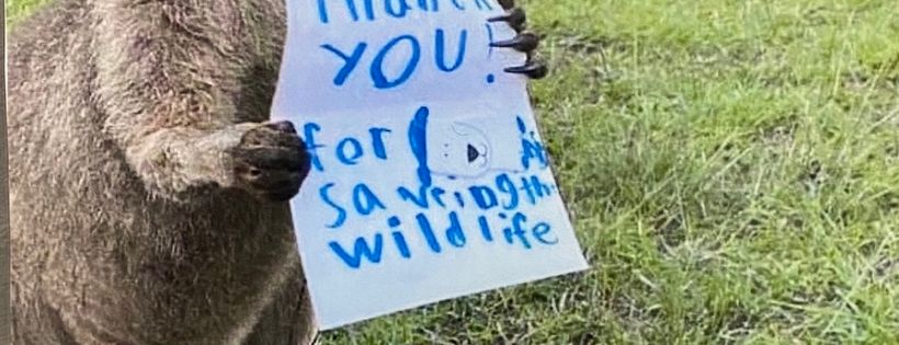 Bushfire Wildlife Rescue Support BWRS