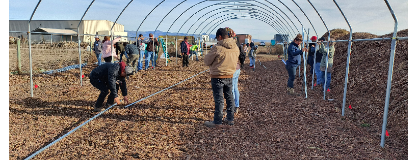 Sustainable Systems Research Foundation