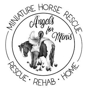 Angels for Minis , miniature horse and donkey rescue 