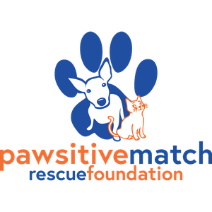 Pawsitive Match Rescue Foundation Logo