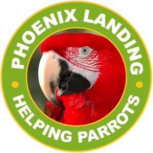 Phoenix landing Logo
