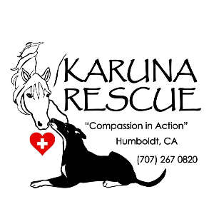 KARUNA RESCUE