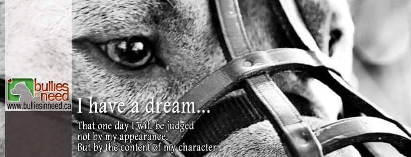 Bullies in Need