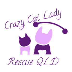 Crazy Cat Lady Rescue Queensland