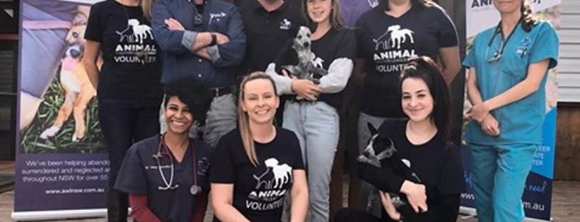 Animal welfare league orange