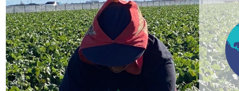 Friends of Fieldworkers, Inc.