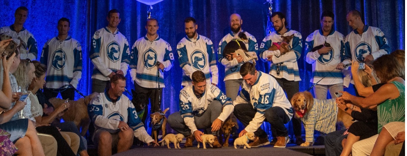 Athletes For Animals