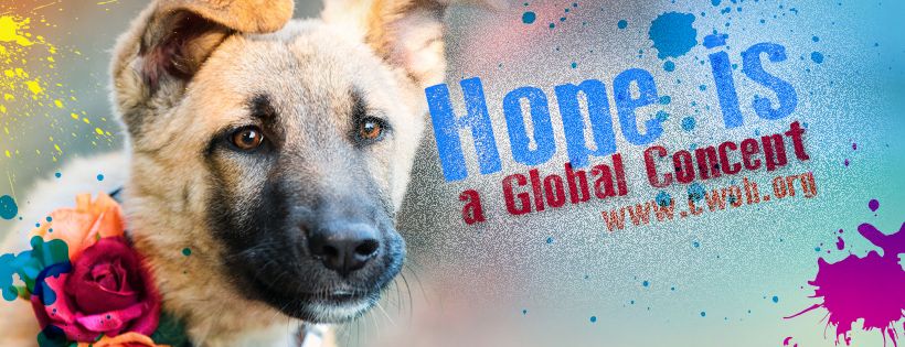 Compassion Without Borders