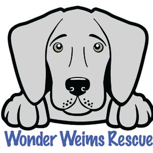 Wonder Weims Rescue Logo