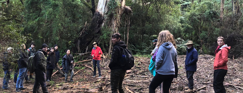 Southern Otway Landcare Network