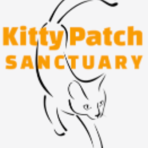 Kitty Patch Sanctuary
