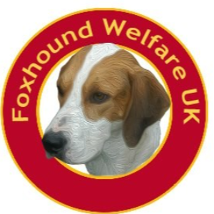Foxhound welfare UK