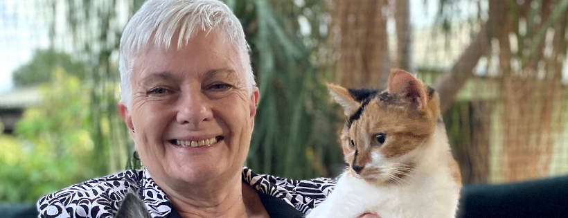 SAFE - Saving Animals From Euthanasia Incorporated