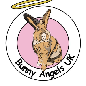 Bunny Angels UK Logo