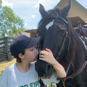 Healing Hearts and Horses Inc