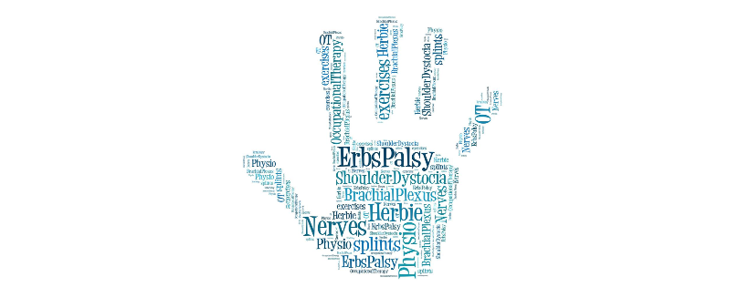 Erb's Palsy Group CIO